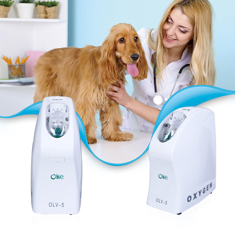 Olive 5L Oxygen Concentrator Home Use Dog Oxygen Concentrator